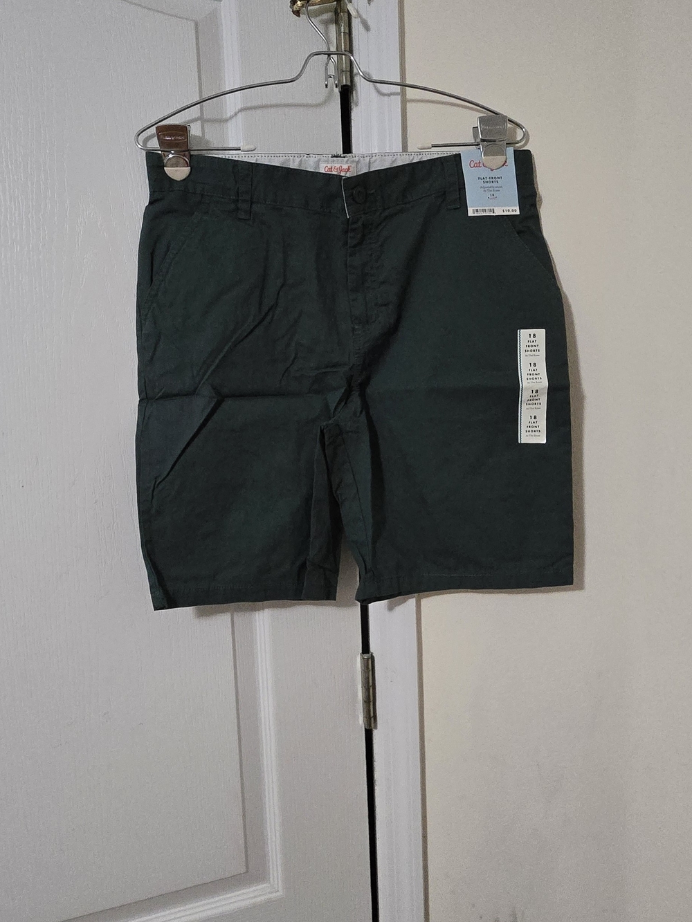 Cat & Jack Men's Flat Front Chino Shorts in Forest Green